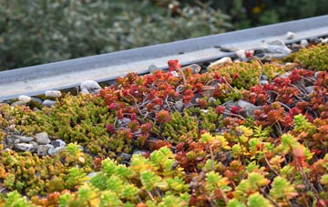 the cost of Holsworthy green roof installation