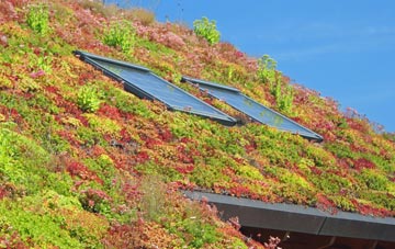 Holsworthy living roof systems